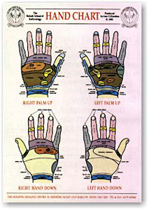Reflexology Hand Chart by Ann Gillanders